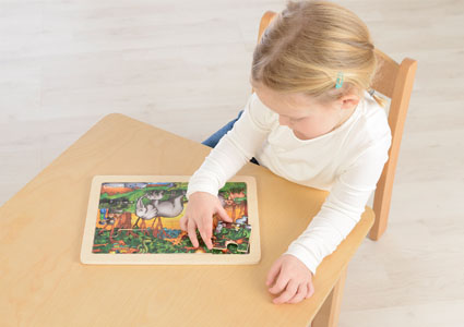 Therapeutic and Educational Toys